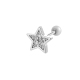 couleur argent Image5