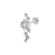 couleur argent Image8