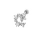 couleur argent Image12