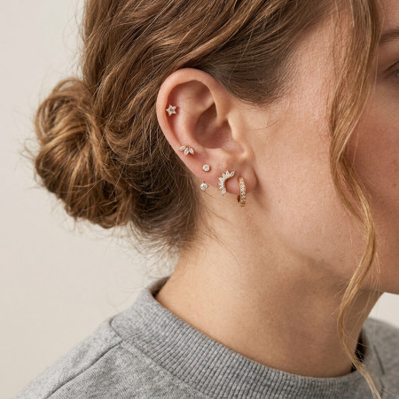 Boucles d'oreilles classiques en acier inoxydable, ornées de zircon et de feuilles d'étoile. 2