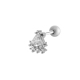 couleur argent 