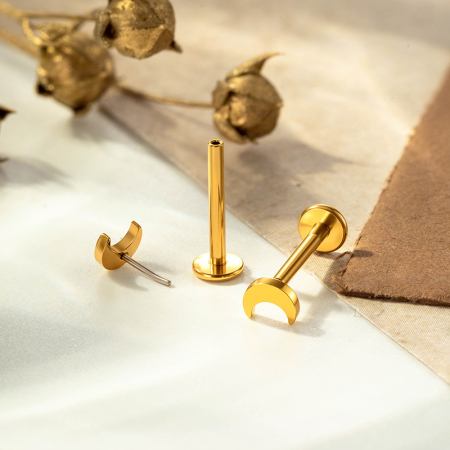 Boucles d'oreilles piercing pour femmes, modèle Simple Moon, en acier inoxydable étanche, couleur or 2