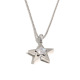 couleur argent Image2