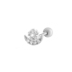 couleur argent Image5