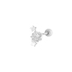 couleur argent Image8