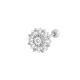 couleur argent Image4
