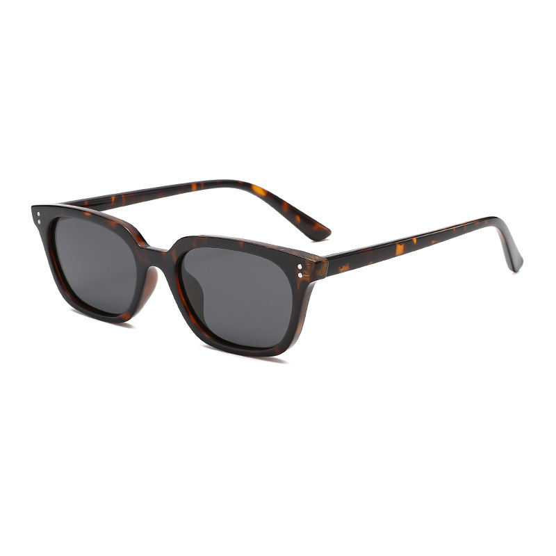 Lunettes De Soleil Femme Simple Series À Imprimé Léopard Multicolore Décontracté Image2