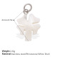 Coquillage d'eau douce Image6
