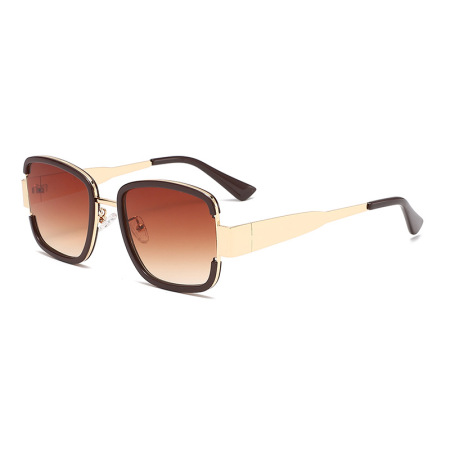 Lunettes de soleil unisexes élégantes à dégradé de la série Simple 2