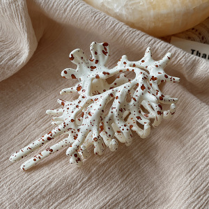 Pinces À Cheveux En Plastique À Pois, Forme Irrégulière, Couleur Unie, Style Océanique, Collection Romantique, Motif Coquillage h5