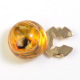 Ambre Image2