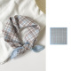 Style 2 Image2