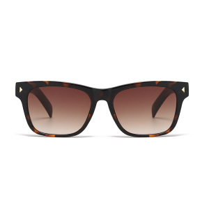 Lunettes De Soleil Unisexes Simple Series, Décontractées, Unies, À Imprimé Léopard Dégradé, Couleur Unie. h5 Image3