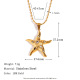 Style 5 Image5