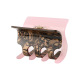 brun Image4