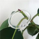 Couleur transparente Image3