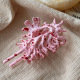 Rose Image4