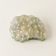 Vert clair Image4