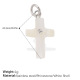 Coquillage d'eau douce Image4