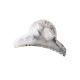 Gris Image8