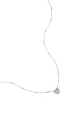 couleur argent Image2