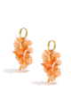 Orange Image2