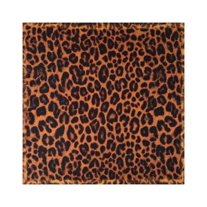 Écharpes D'Été Pour Femmes En Polyester À Imprimé Léopard Rétro De La Série Classique h5 Image3