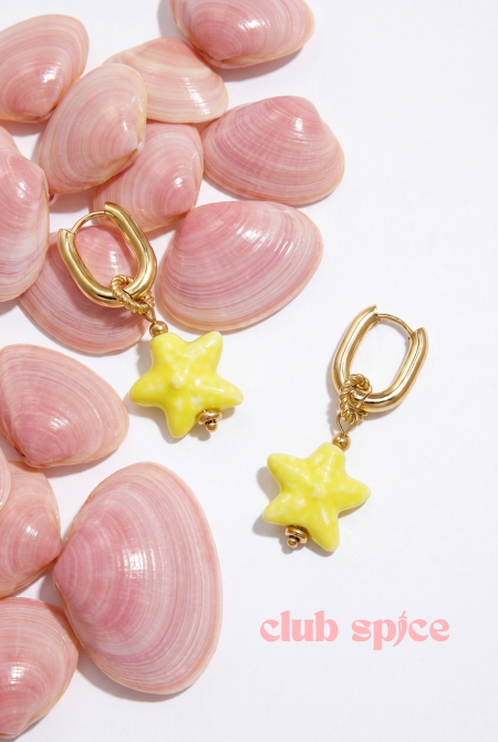 Boucles d'oreilles squovales avec pendentif étoile colorée 2