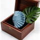 Bleu Image4