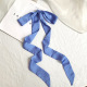 Bleu Image11