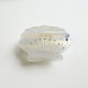 Blanc Image3