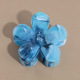 Bleu Image5