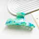 turquoise Image9