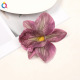 violet foncé Image3