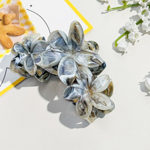 Pinces À Cheveux En Résine À Motif Floral Doux, Couleurs Unies Et Dégradées, Collection Simple Series h5