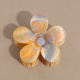 Orange Image2