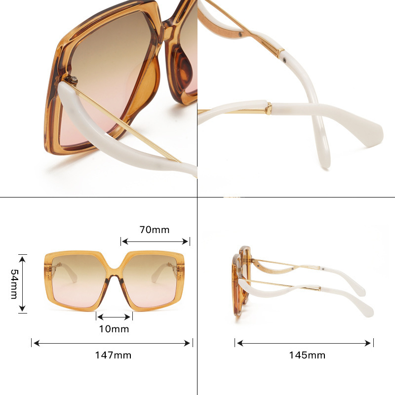 Lunettes De Soleil Rétro À Imprimé Léopard Simple Series, Couleurs Dégradées. Image4