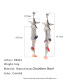 couleur argent Image2