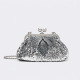 couleur argent Image2