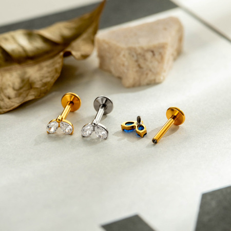 Boucles d'oreilles piercing pour femme, forme géométrique simple, alliage de titane, couleur or, zircon. 2