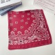 Rouge Image4