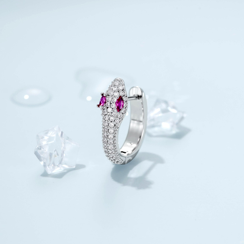 Boucles D'Oreilles Créoles Pour Femmes, Motif Serpent, Cuivre Et Zircon, Collection Simple Image2