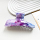 Violetto Image6