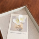 Blanc Image12