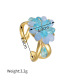 Bleu Image2