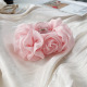 Rose bébé Image3