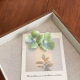 Vert Image10