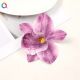 Violet Image2