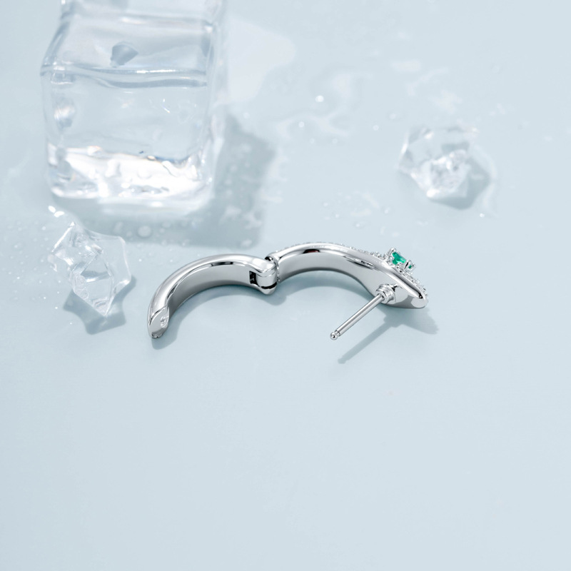 Boucles D'Oreilles Créoles Pour Femmes, Motif Serpent, Cuivre Et Zircon, Collection Simple Image3