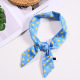 Bleu Image8